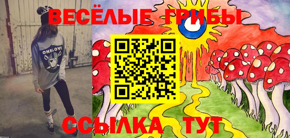 Псилоцибиновые грибы Psilocybine cubensis Биробиджан